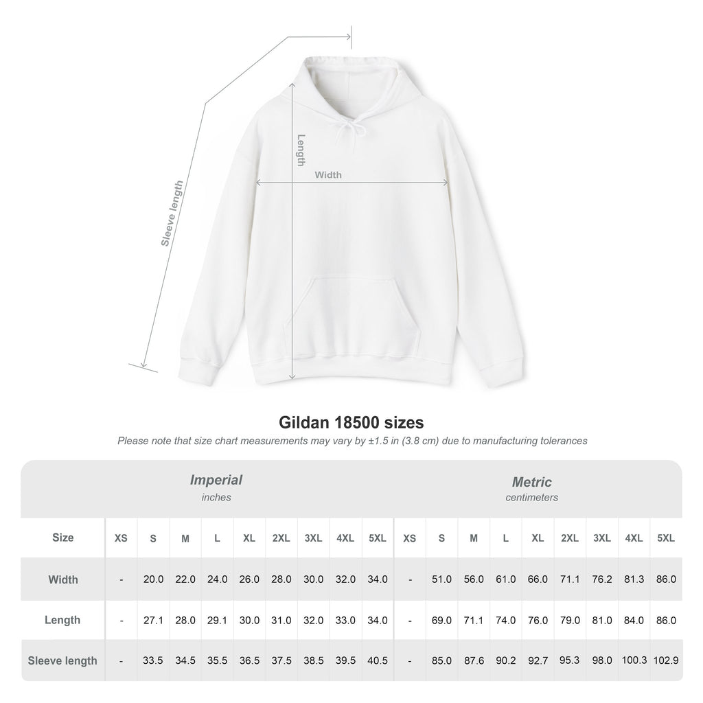 BLSW - No Face No Case Hoodie